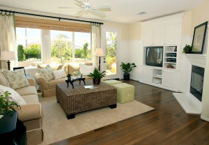 Contemporary living room in earth tones